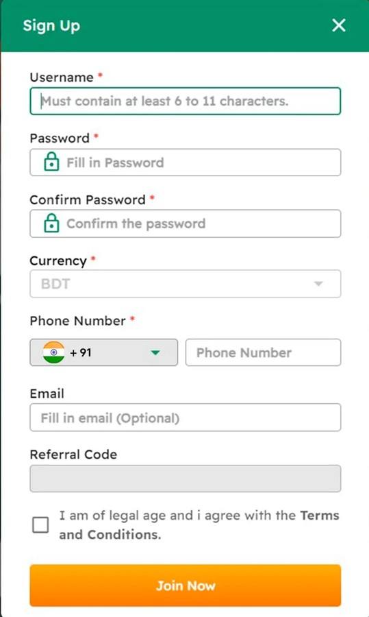 Krikya casino interface screenshot 5